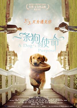 打更人的巡逻日记